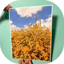 Load image into Gallery viewer, Brittlebush Bloom 8x10 photo print
